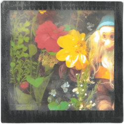 Grand magnet photo Nain de jardin en décor