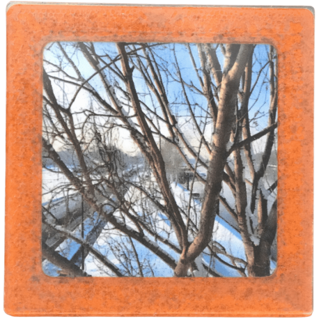 Petit magnet d'artiste photo Arbre enneigé