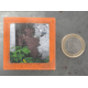 Petit magnet d'artiste photo Plaque rouillée et chélidoine