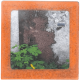 Petit magnet d'artiste photo Plaque rouillée et chélidoine