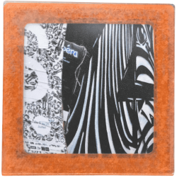 Petit magnet d'artiste photo Zèbre et affiche
