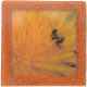 Petit magnet d'artiste photo Bestiole et pissenlit