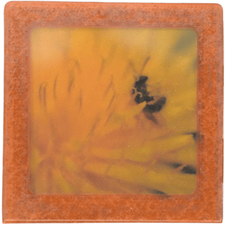 Petit magnet d'artiste photo Bestiole et pissenlit