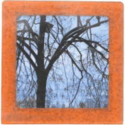 Petit magnet d'artiste photo Arbre et maison d'oiseaux