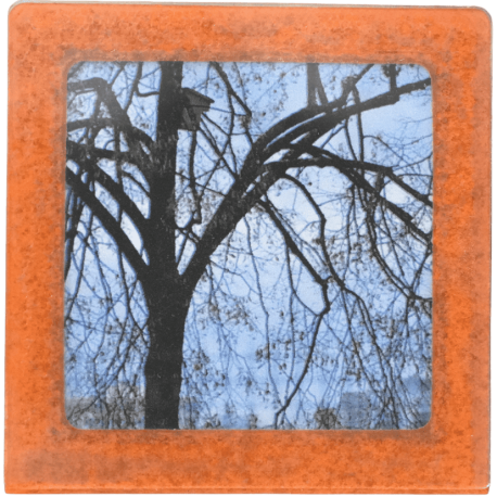 Petit magnet d'artiste photo Arbre et maison d'oiseaux