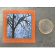 Petit magnet d'artiste photo Arbre et maison d'oiseaux