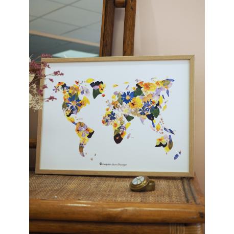 Reproduction herbier map monde A3