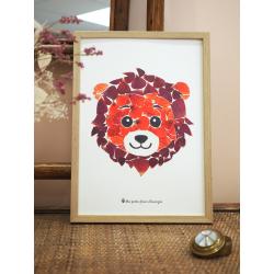 Affiche herbier Lion