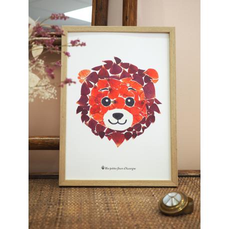 Affiche herbier lion