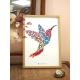 Affiche herbier colibri