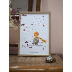 Affiche Herbier petit prince