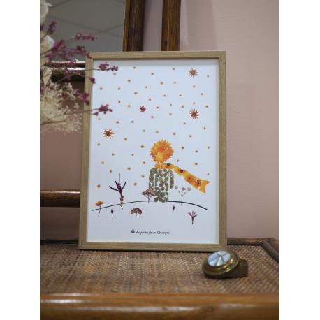 Affiche herbier petit prince de saint-exupery