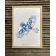 Affiche Herbier geai bleu
