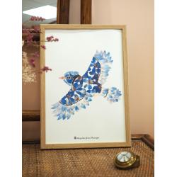 Affiche Herbier geai bleu
