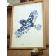 Affiche Herbier geai bleu