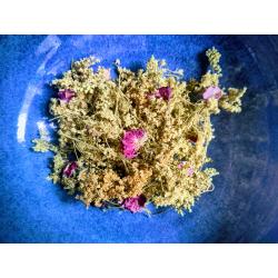 Tisane délice d'été 30 gr.