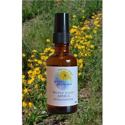 Macérat huileux à l'Arnica montana - 50 ml