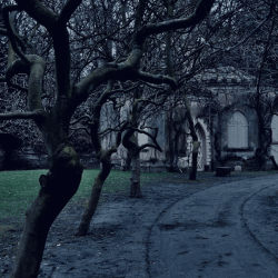 Escape game: Les épines du prieuré