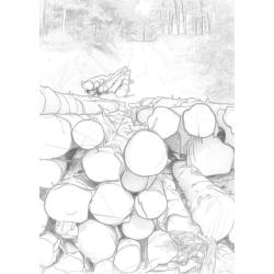 Cartes postales à colorier, thème Rural.