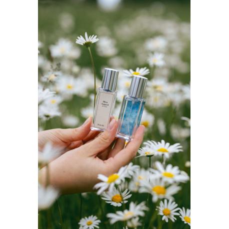 Bleu Asgard - BRETAGNE