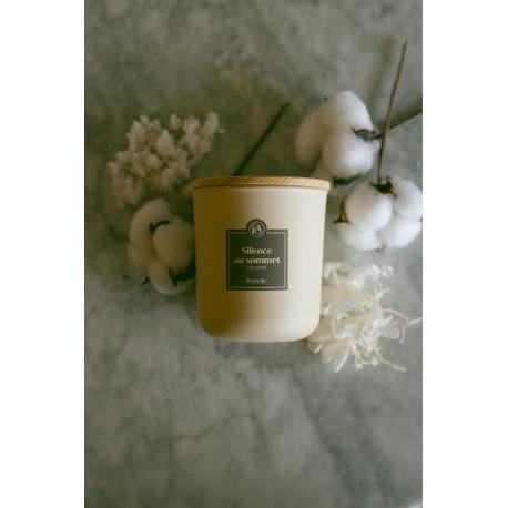 Silence au sommet - Les Alpes