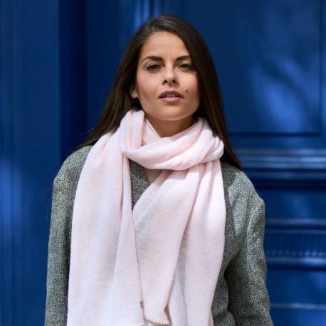 Etole Paule - Orchidée