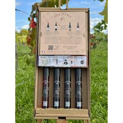 L'œnologue en Herbe N°2 Vin Rouge : Jeu de Dégustation à l'Aveugle