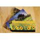 lot de 4 cartes postales sur l'Auvergne
