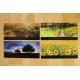lot de 4 cartes postales sur l'Auvergne