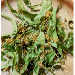 Tisane du soir 25 gr.