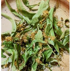 Tisane du soir 30 gr.