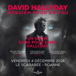 David Hallyday au Scarabée à Roanne