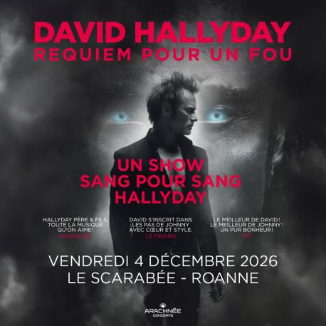 David Hallyday au Zénith de Clermont-Ferrand