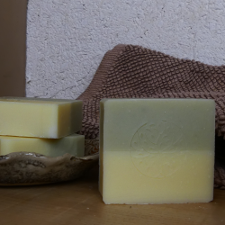 Barre de savon-shampoing - Cheveux à tendance grasse