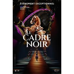 Le Cadre Noir de Saumur à la LDLC Arena de Lyon