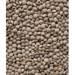 Lentilles blondes en vrac - 1kg