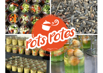 Pots Potes